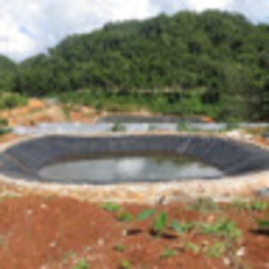 Meet your Posher, Peter